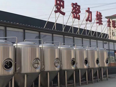 许昌精酿啤酒设备厂—如何判断精酿啤酒设备的密封件需要更换?